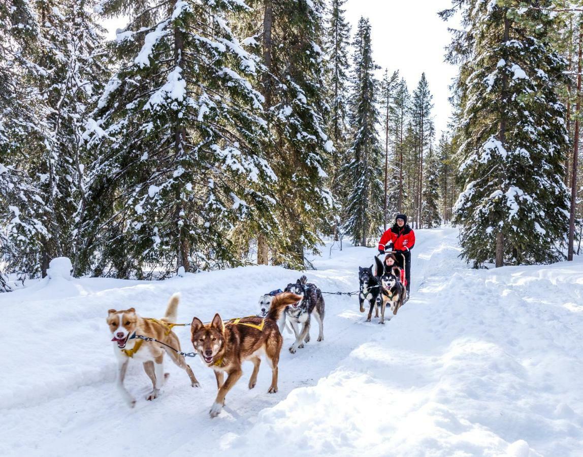 Lapland Hotels Bear'S Lodge Sinettä Esterno foto